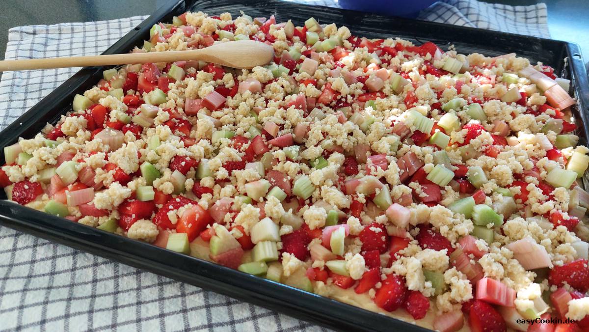 Erdbeer_Rhabarberkuchen1.jpg
